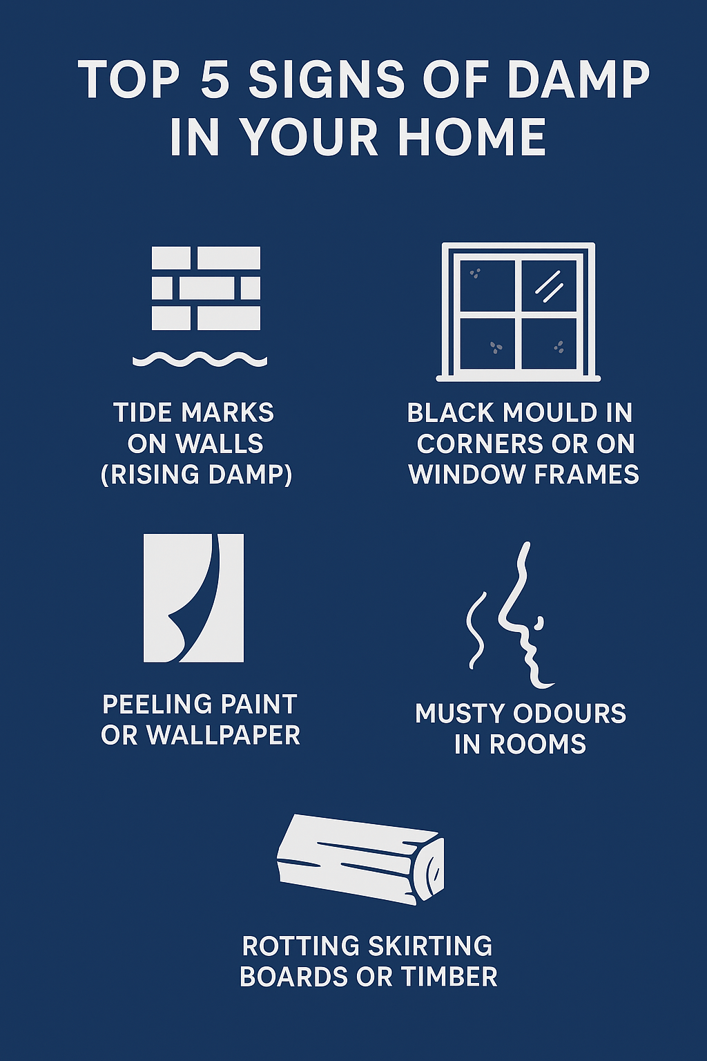  How To Solve Damp in the home infographic